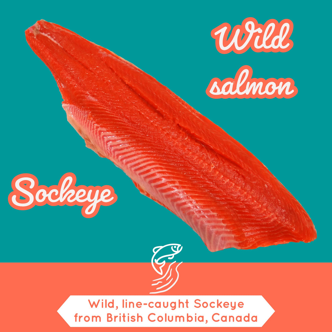 wild sockeye salmon