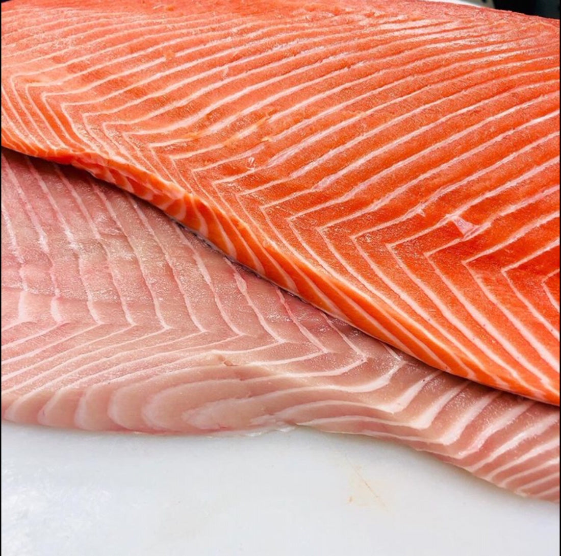 ALL-YOU-NEED-TO-KNOW-ABOUT-WILD-KING-CHINOOK-SALMON Dish The Fish