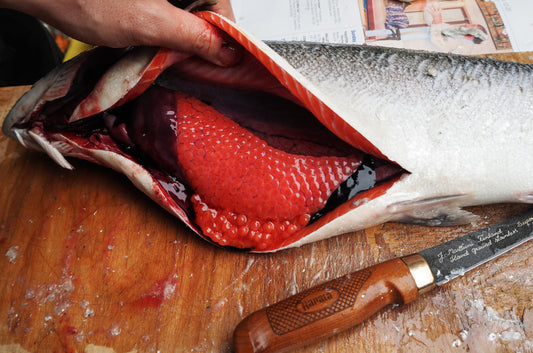 HOW-TO-GET-SALMON-ROE-FROM-THE-FISH-INTO-YOUR-STOMACH Dish The Fish