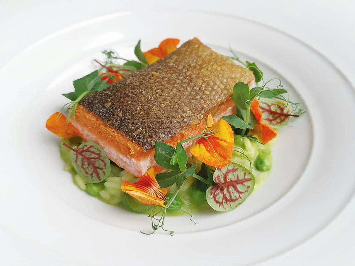 Wild Frozen King Salmon Fillet (about 500-600g)