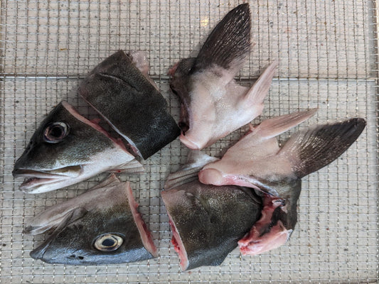 In House Dehydrated Gindara Sablefish (Black Cod) Head - Dishthefish Singapore Fresh Fish Sustainable 