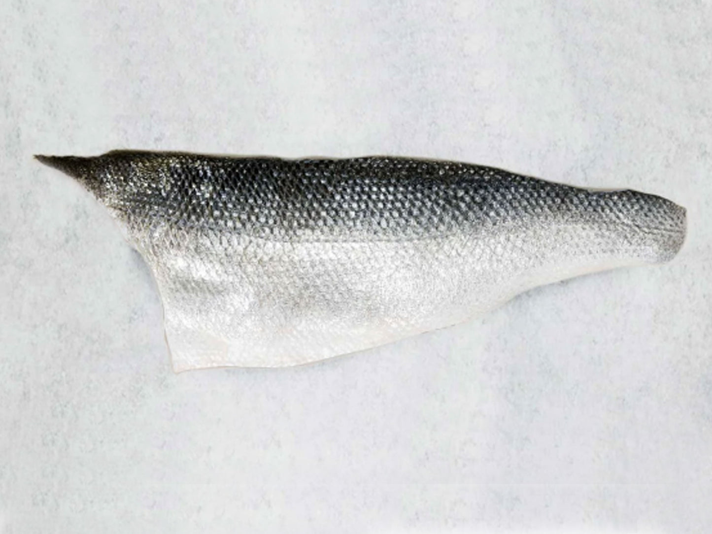 In House Dehydrated Seabass Fish Skin for Pets (about 100g) Dishthefish Fresh Fish Seafood Delivery