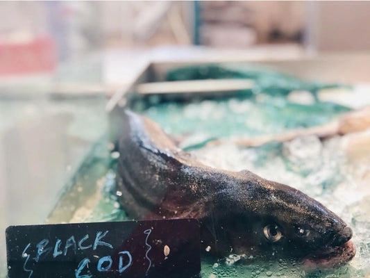 Whole Sustainable Gindara Sablefish/ Black Cod (about 1.1 kg) Dishthefish