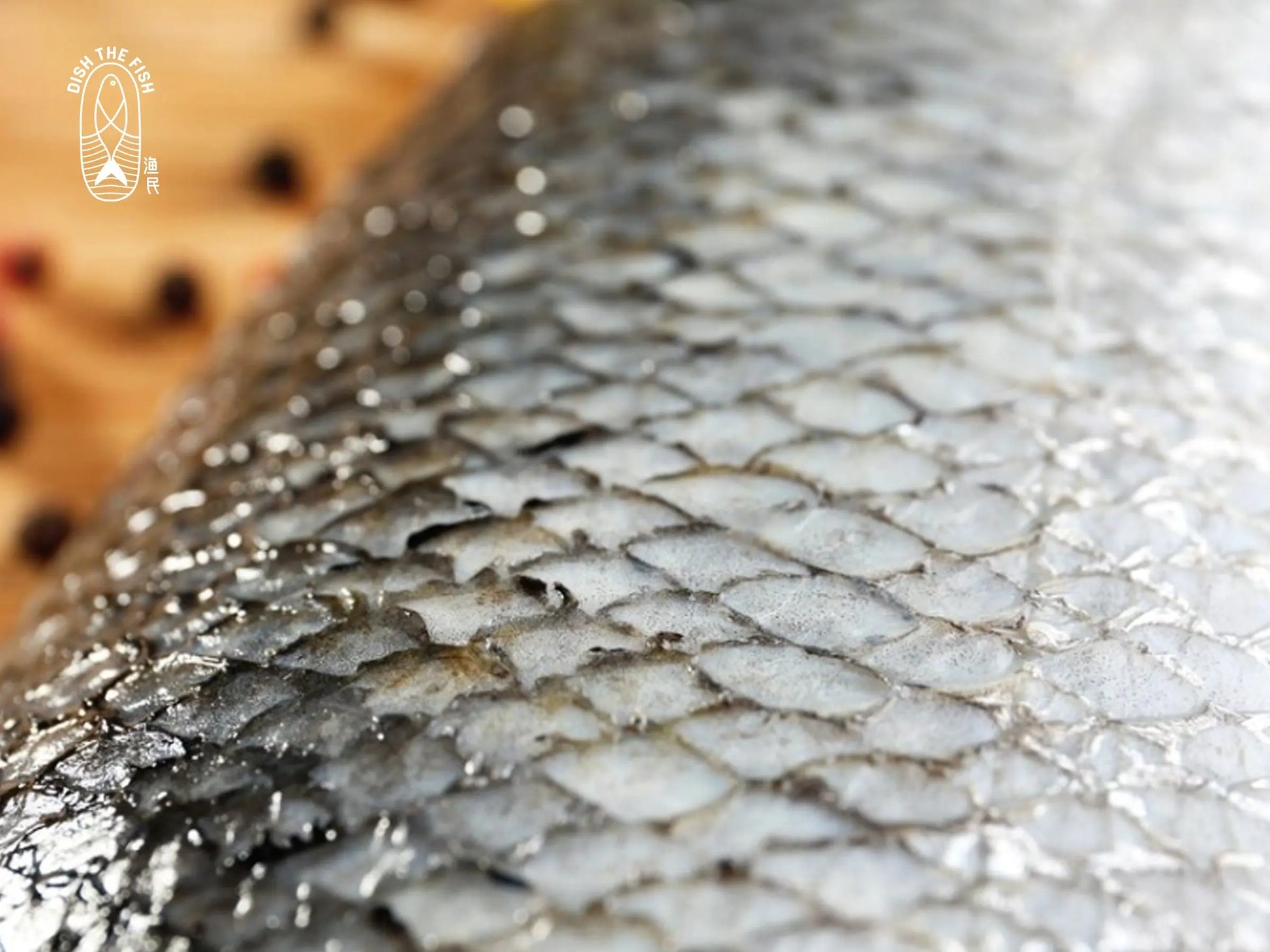 In House Dehydrated Seabass Fish Skin for Pets (about 100g) Dishthefish Fresh Fish Seafood Delivery