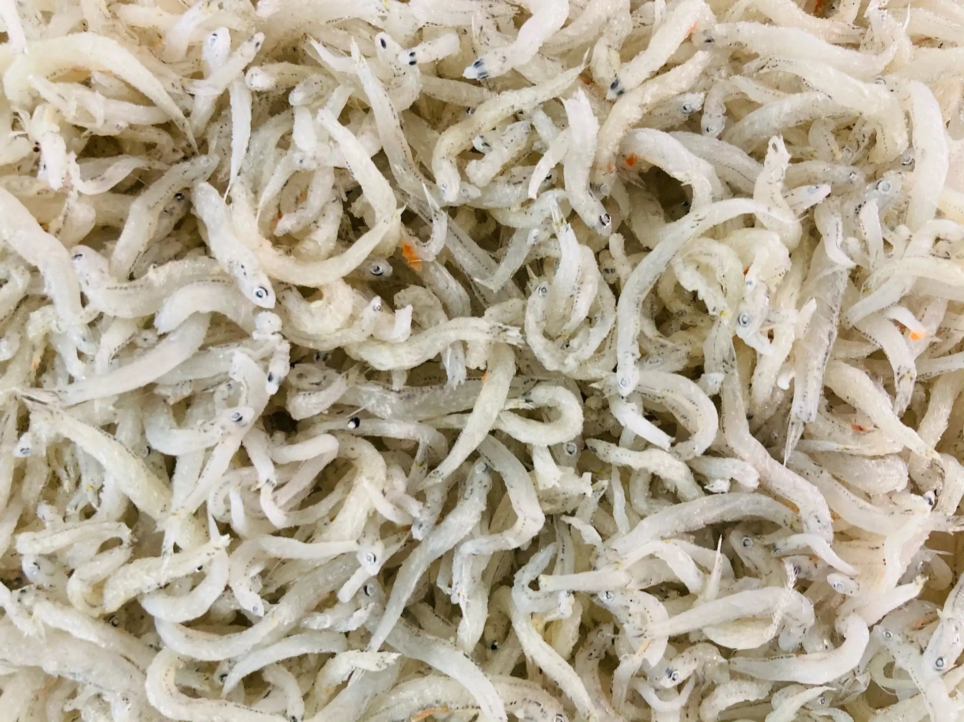 Wild Local Whitebait (Silverfish) (about 150g) - Dish The Fish