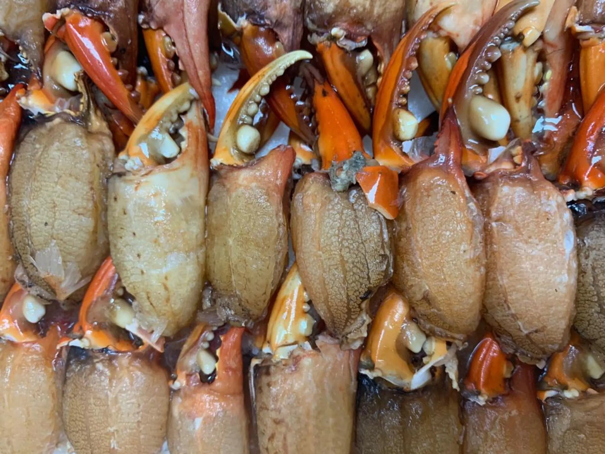 Wild Mini Crab Claws Meat (Malaysia) Dishthefish