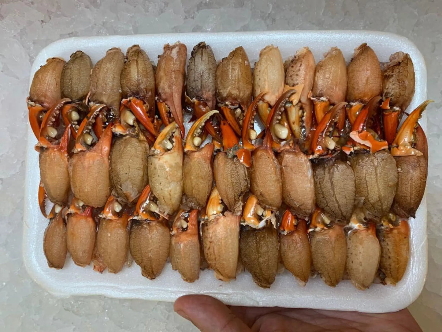 Wild Mini Crab Claws Meat (Malaysia) Dishthefish