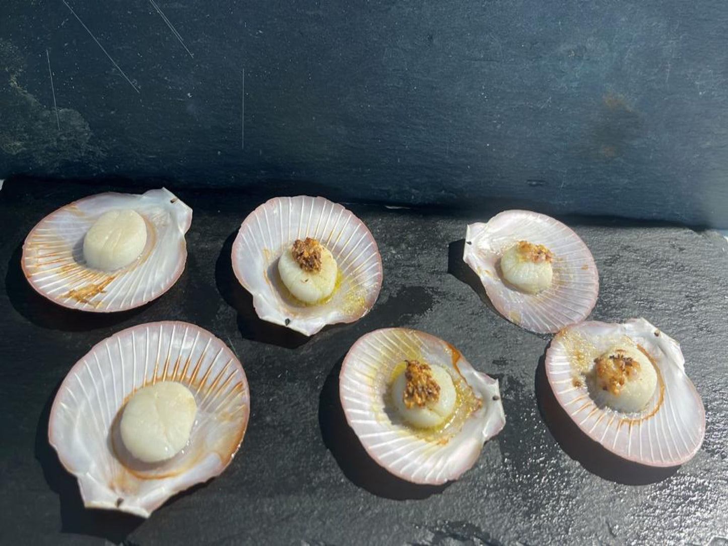 Wild Half Shell Scallops (Around 1kg) - Dish The Fish