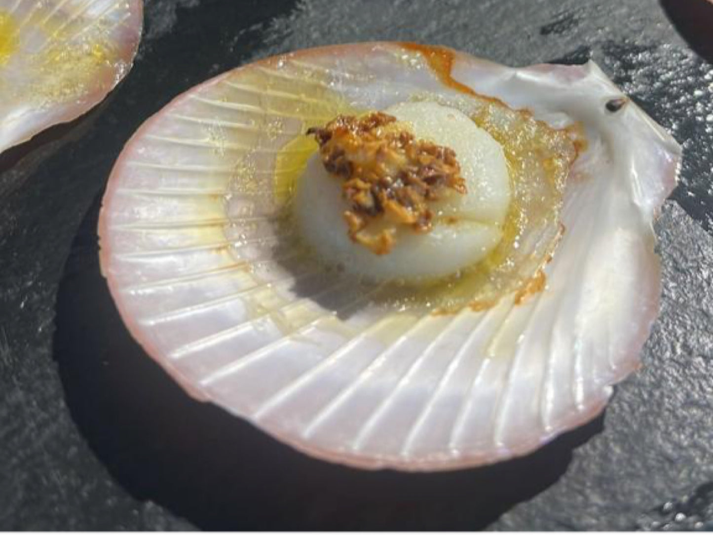 Wild Half Shell Scallops (Around 1kg) - Dish The Fish