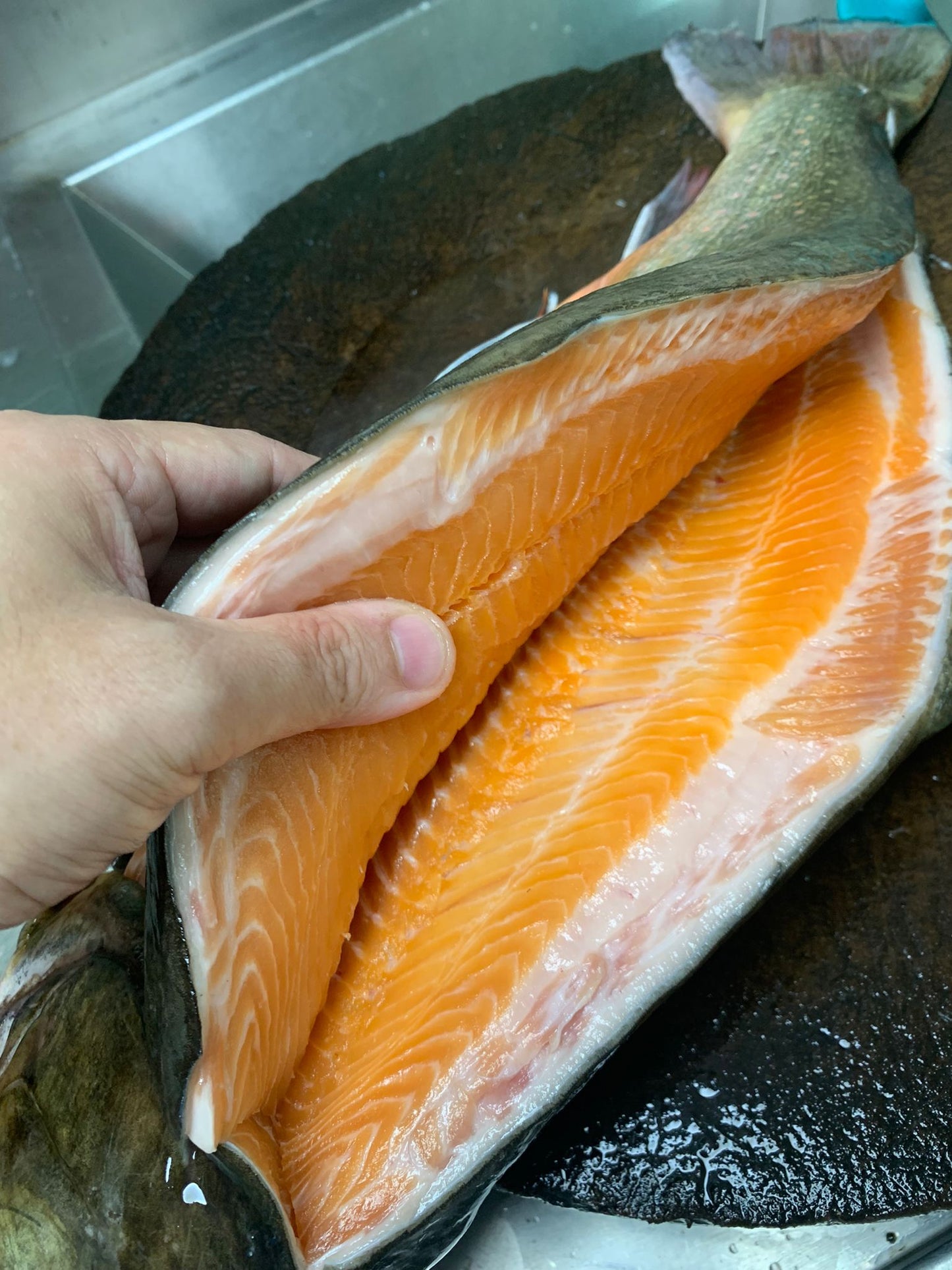 Sustainable Arctic Char (about 1.5kg) - Dish The Fish