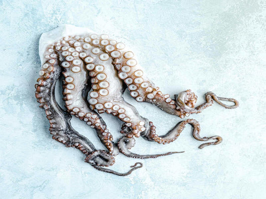 whole boiled octopus sashimi grade fresh fish singapore fishmonger seafood online delivery the new age fishmonger singapore DishTheFish A Great Fish Makes The Dish Australia MSC 100% wild caught Pacific Octopus Skull Island Southwest 八角鱼 澳洲 野生 海抓 即煮 方便包装 新加坡 网购 