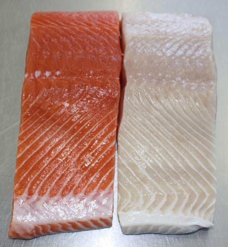 Wild Fresh King Salmon Fillet (about 500g) *Limited to season only* - Dish The Fish