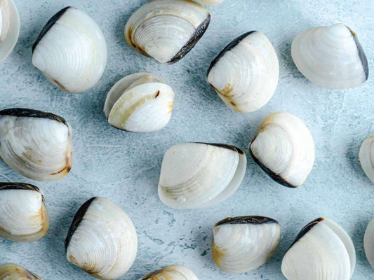 Wild Frozen White Clams/ La La - Dish The Fish