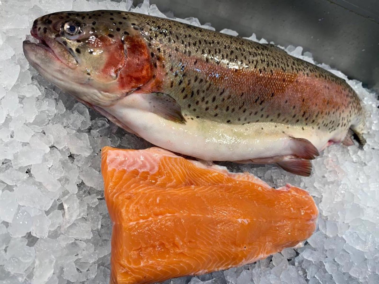 Canadian Steelhead Trout Fillet (about 500g) - Dishthefish Fresh Fish Online Seafood Delivery Singapore Sustainable Ethically Harvested No Antibiotics , preservative, Organic Trout Salmon Wild Farmed