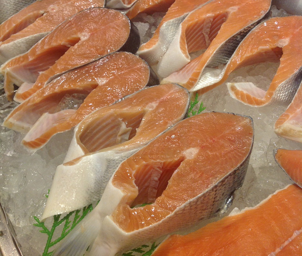 dishthefish wild salmon keta caught singapore fresh fish seafood a great fish makes the dish online delivery vancouver canada 渔民 野生三文鱼 海抓 加拿大 小孩包装 网购 新加坡 海鲜 鲜鱼