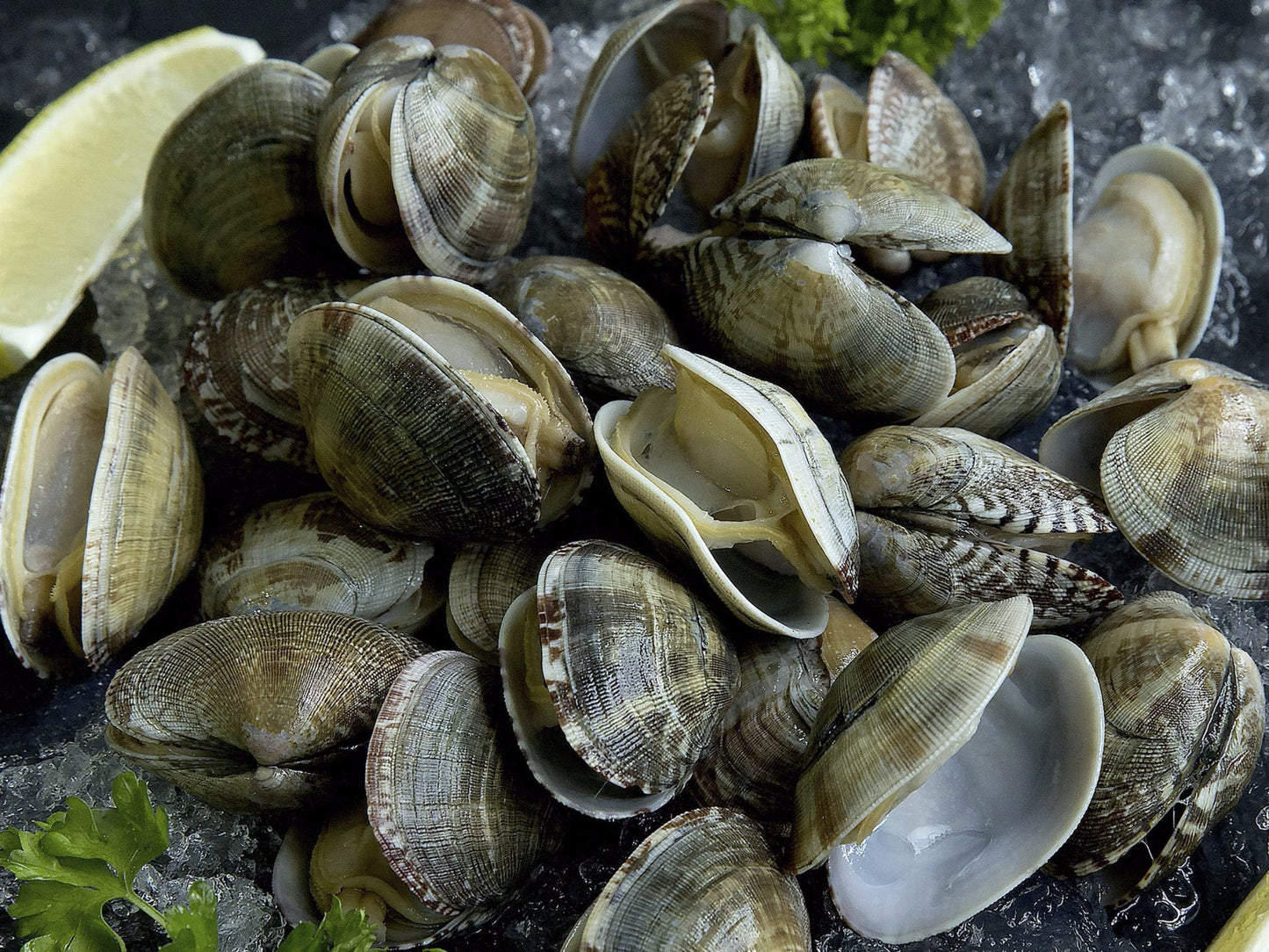 Wild Frozen Flower Clams/ La La - 500g - Dish The Fish